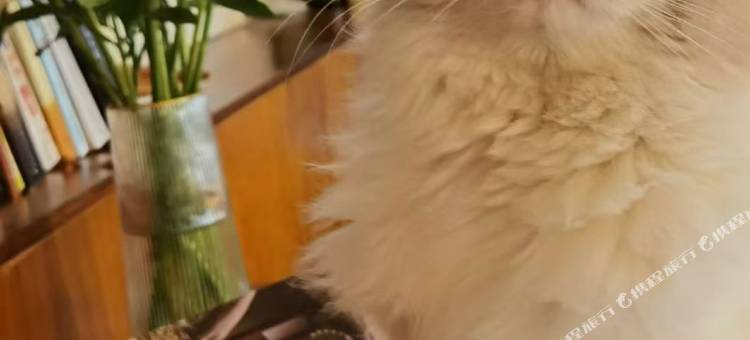 宁波吾壹山居(宁波东钱湖韩岭店)图片