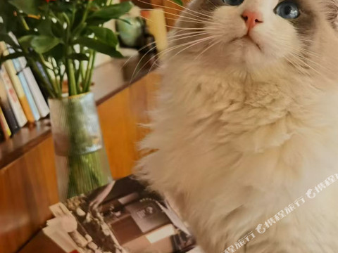 宁波韩岭吾壹山居民宿(东钱湖店)