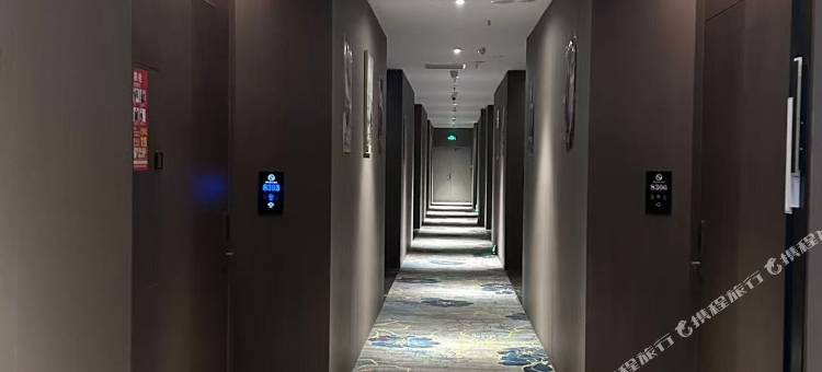 屈原区雅朵睿致大酒店图片
