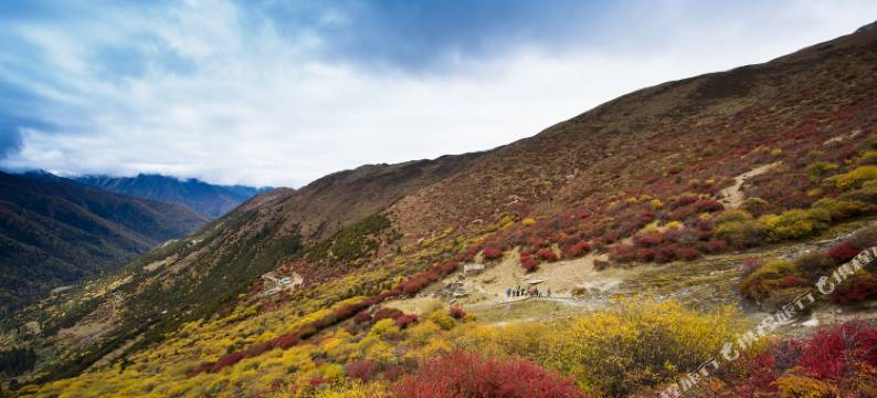 明星花园酒店(四姑娘山长坪沟景区店)图片