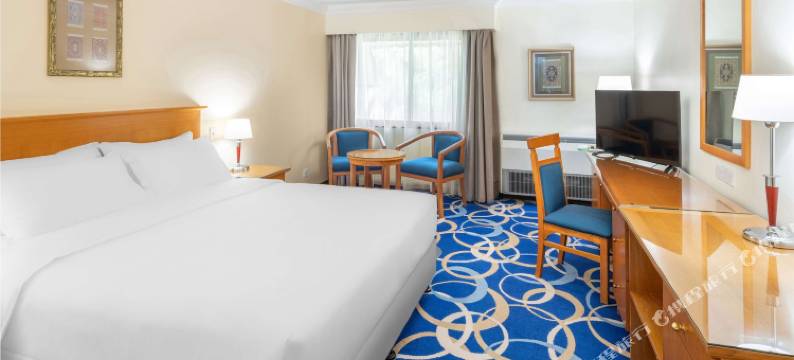 丽笙蓝标酒店-延布(Radisson Blu Hotel, Yanbu)图片