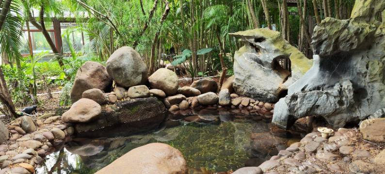 海口韦豪温泉大酒店(省政府日月广场免税店)图片