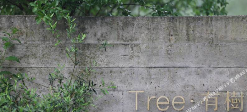 兴安有樹民宿图片