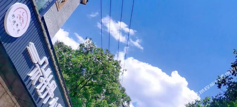 一朵牡丹小院图片