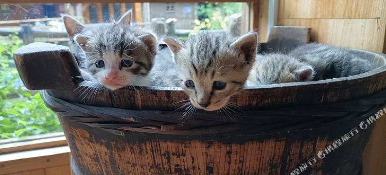 遇见客栈(肇兴侗寨景区店)图片