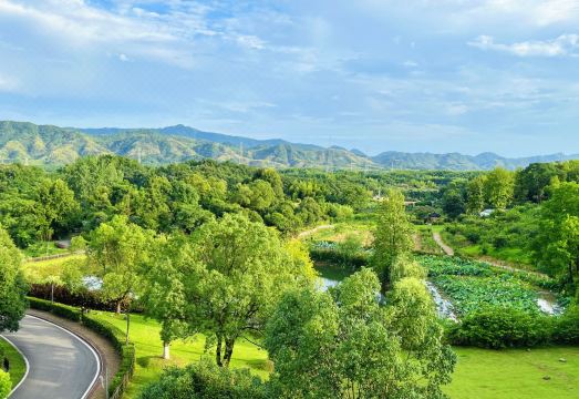 Springs Resort ChibiHotel Overview