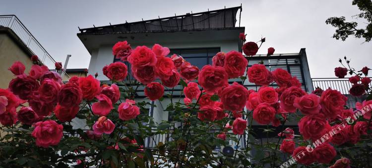 英德净墨民宿图片