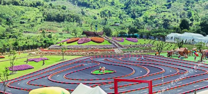 Rung Thong Nui Voi Villa & Resort(Rung Thong Nui Voi Villa & Resort)图片