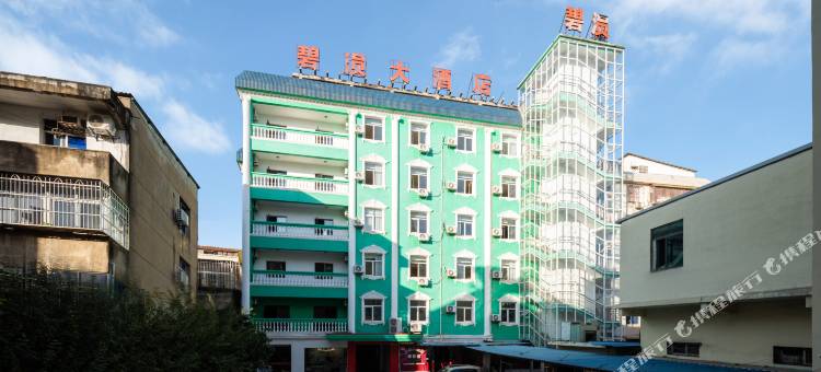 碧涢大酒店(安陆客运站店)图片