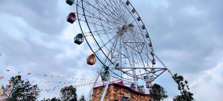 霆曦国际酒店(新田店)图片