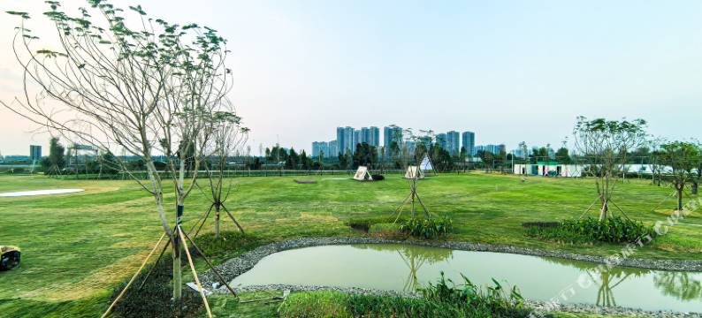 中山悦生自然营地图片