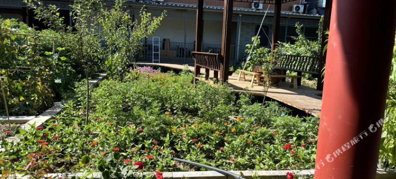 霍尔果斯玥庭兰舍民宿图片