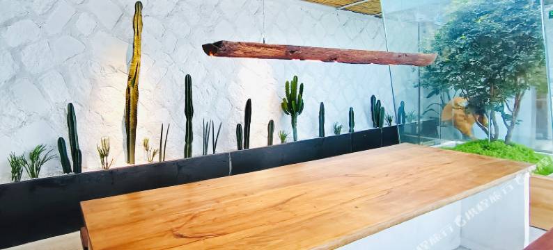 听溪星宿(温州泽雅店)图片