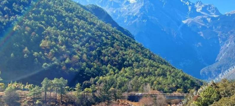 静孜庭客栈(丽江束河古镇店)图片