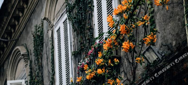 鼓浪屿巢庭1919别墅(最美转角店)图片