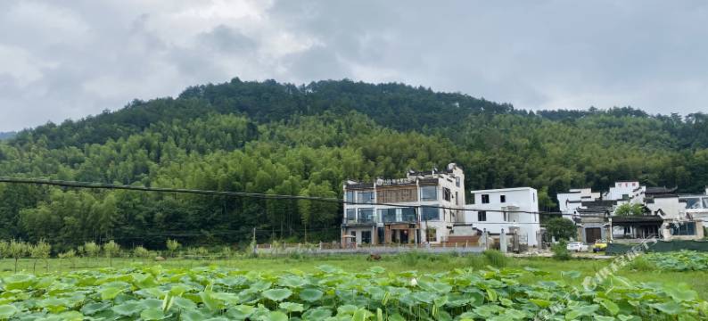 宏村稻田星空·View全视野田园·度假美宿图片