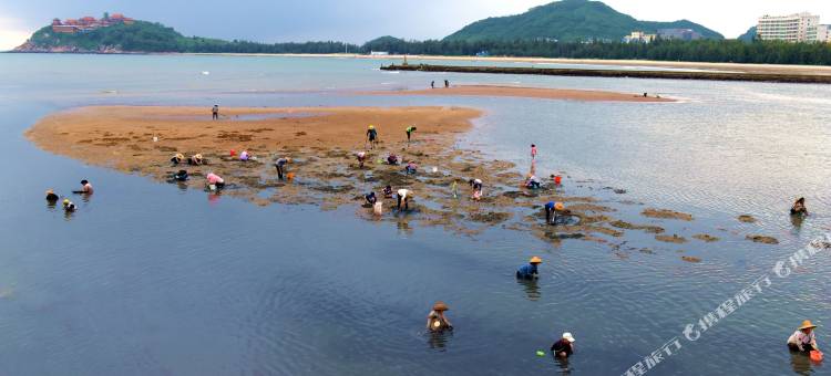 阳江海望角民宿图片
