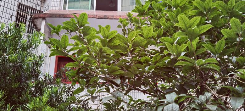 萍乡好日子宾馆图片