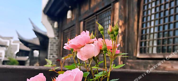 新华联铜官窑古镇月上客栈图片