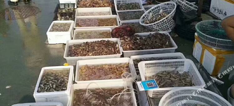 北戴河赤土山东海湾精品度假公寓图片