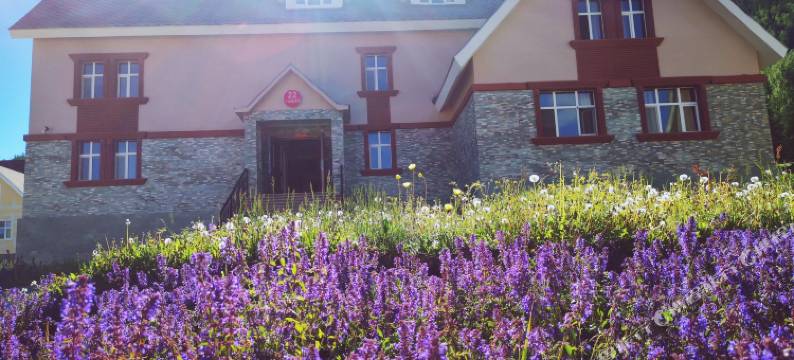 喀纳斯一朵莲酒店图片