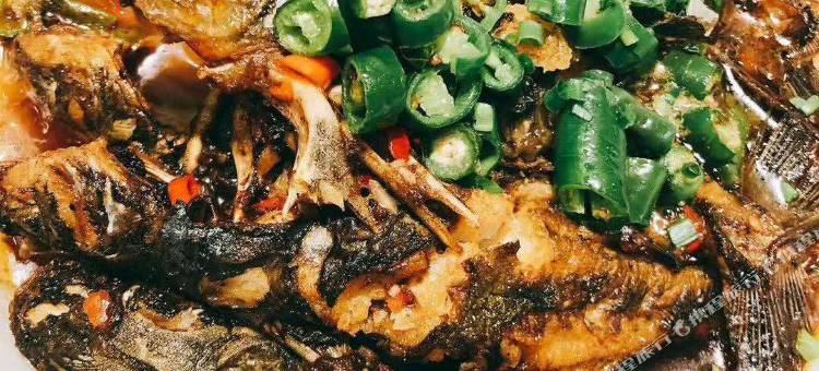 海枫度假公寓图片