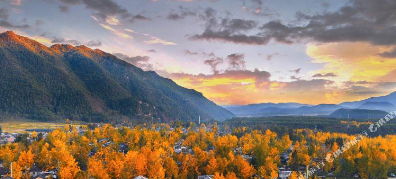 银杏村陈二客栈图片