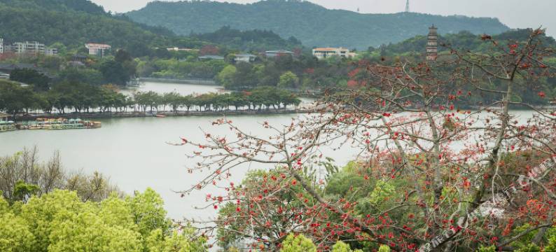 致寓·湖畔｜Xihu Zeal Home民宿(惠州西湖水东街步行街店)图片