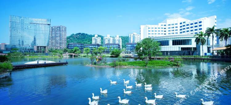 珠海度假村酒店主楼图片