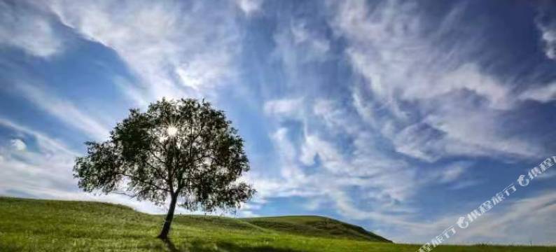 乌兰布统兰亭民宿(草原店)图片