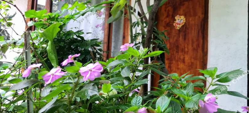 清藏客栈(大理古城店)图片