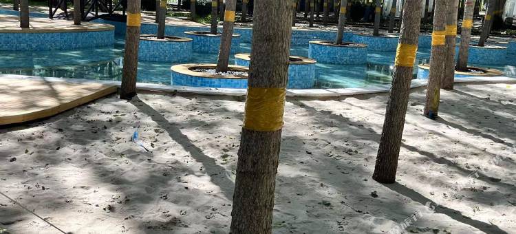 淀夏酒店(雄安新区安新店)图片