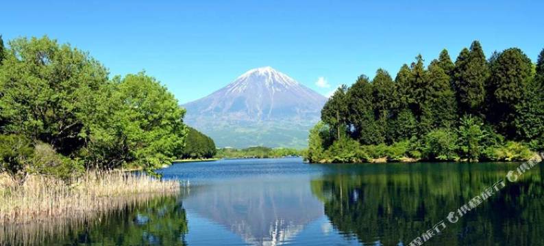 格兰帕克S.O.P富士设计营地(Glampark S.O.P Fuji Kawaguchi Lake)图片