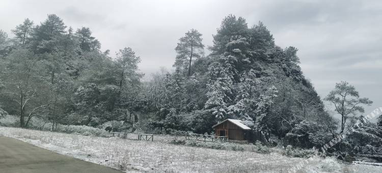 重庆黑山谷奥陶纪天门花麓森林民宿图片