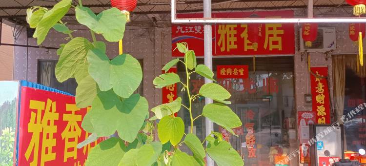 平价公寓图片