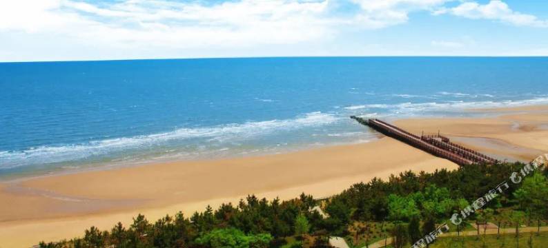 澳景蓝湾艾澜海景度假民宿(黄金海岸店)图片