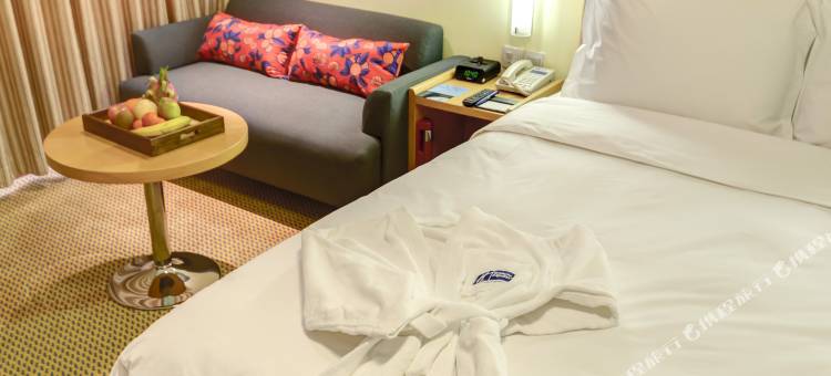 北京前门富力智选假日酒店图片