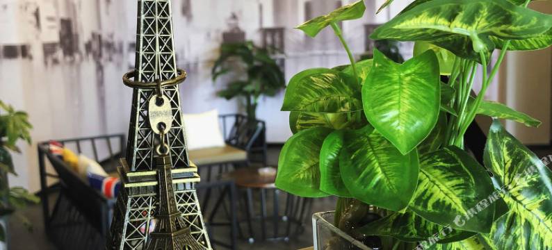 无为美适精选酒店图片