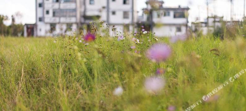 大理邂逅美客栈图片