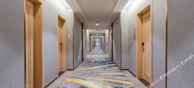 维也纳酒店(雷州店)图片