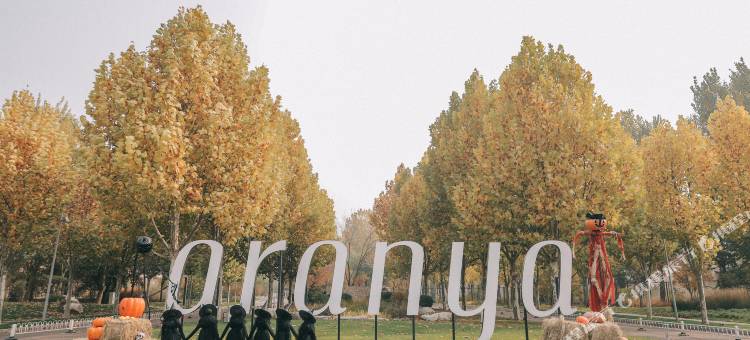 云上谷海边民宿(阿那亚黄金海岸社区店)图片