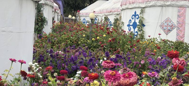 博尔塔拉五湖四海一家亲住宿图片