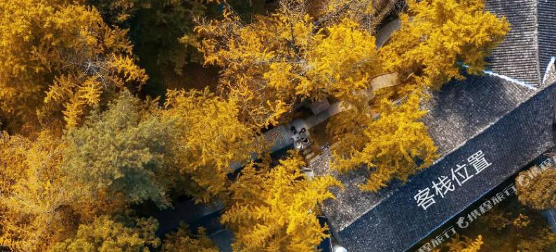 腾冲银杏村清雅轩客栈图片