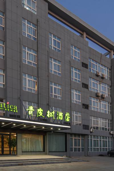 青皮树酒店(徐州大黄山店)图片