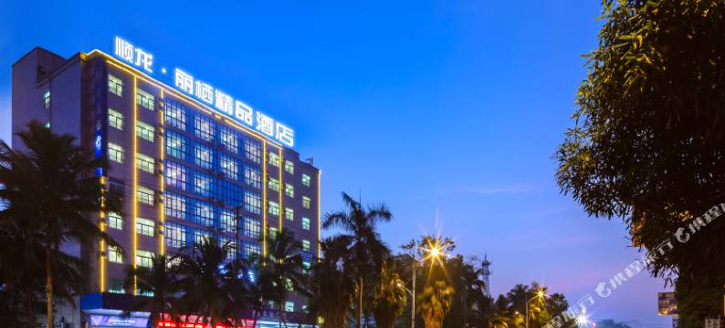 顺龙·丽栖酒店(儋州那大夏日广场店)图片