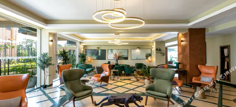 扎拉花园酒店及公寓(Zara Garden Hotel and Apartments)图片