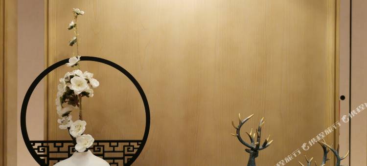 六安晟诚开元名庭酒店图片