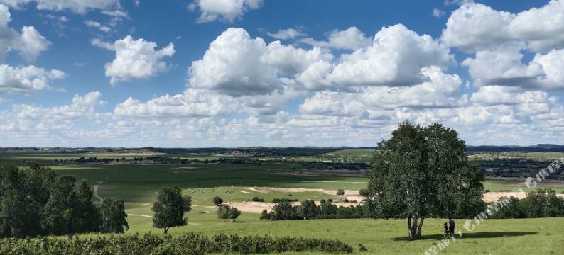 富贵树农家院图片