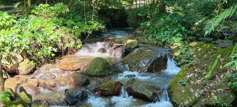 如家·艾扉酒店(瑞丽财富广场旅游步行街店)图片