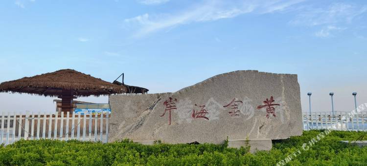 金石海墅观海民宿(大连金石滩店)图片